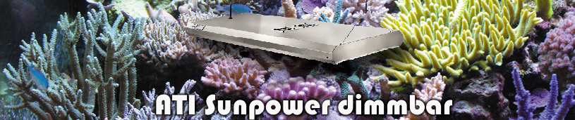 Sunpower inkl. Dimmcomputer Dimmbare Version Sunpower inkl. Dimmcomputer Dimmbare Version