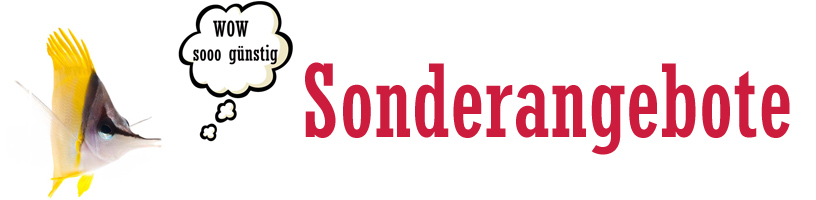 Sonderangebote Sonderangebote