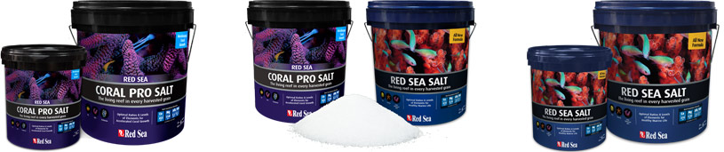 Red Sea Salz Red Sea Red Sea Salz Red Sea