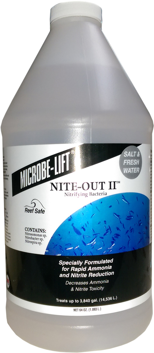 96 nite out ii